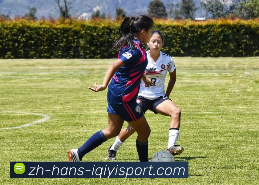 热火与独行侠对决赛程全面解析及比赛前瞻分析